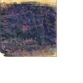 Thumbnail for version as of 16:42, 10 October 2026
